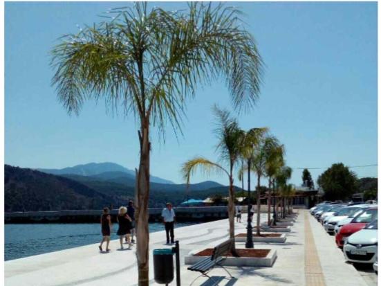 Elektras apartment central with parking