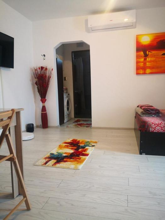 Apartament la dudu