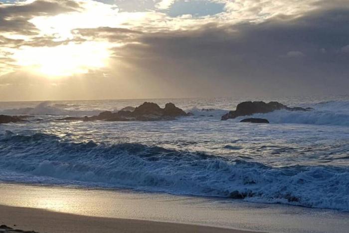 On the beach living! 12 Calamari