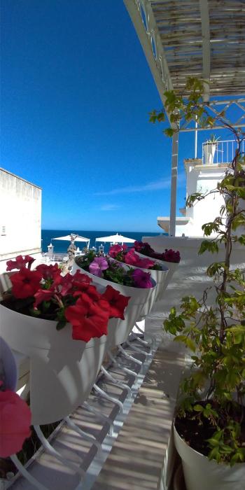 My Monopoli- Casa dei Fiori "Orchidea" Centro Storico