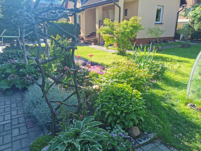 Poilsis pas Virginiją