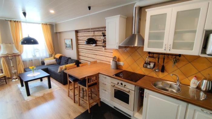 Premium apartment Riia69