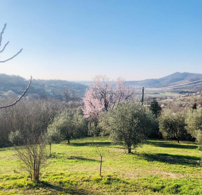Tavern di Arqua