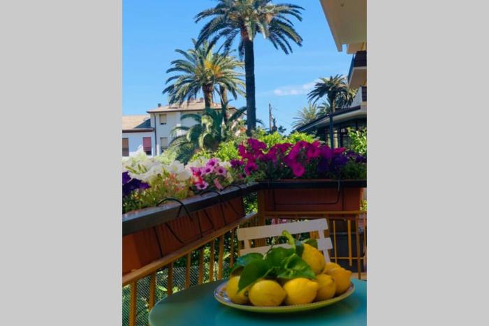 Mediterranean Luxurious Apartment