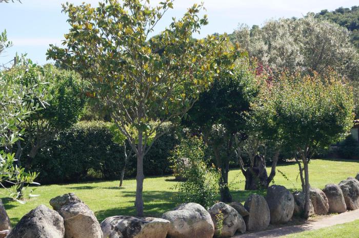 Les Jardins De Santa Giulia - Charmante chambre dhte