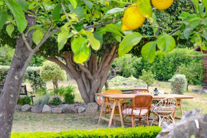 La Casa di Lina - Capo dOrlando, casa con ampio giardino