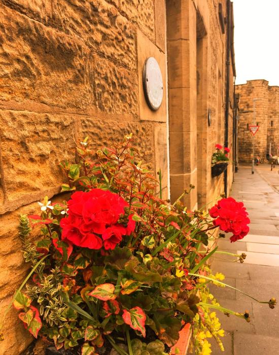 Juliet Cottage, late Georgian treasure, charming, cosy and historic, only a short walk to Alnwick Castle