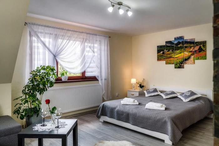 Apartament Polany