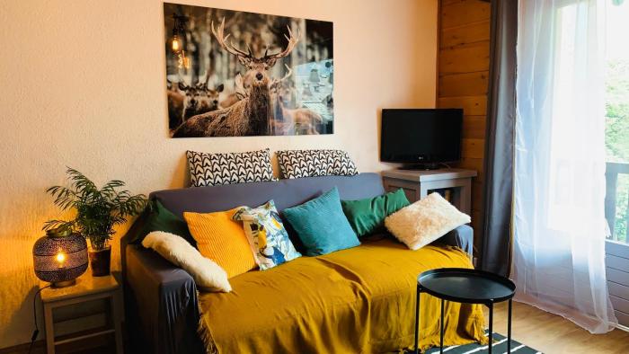 Appartement vue Montblanc 5mn piste1