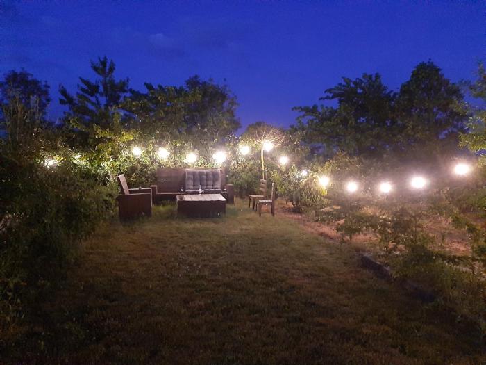 empty spot on grass Camping The Tulip no beds