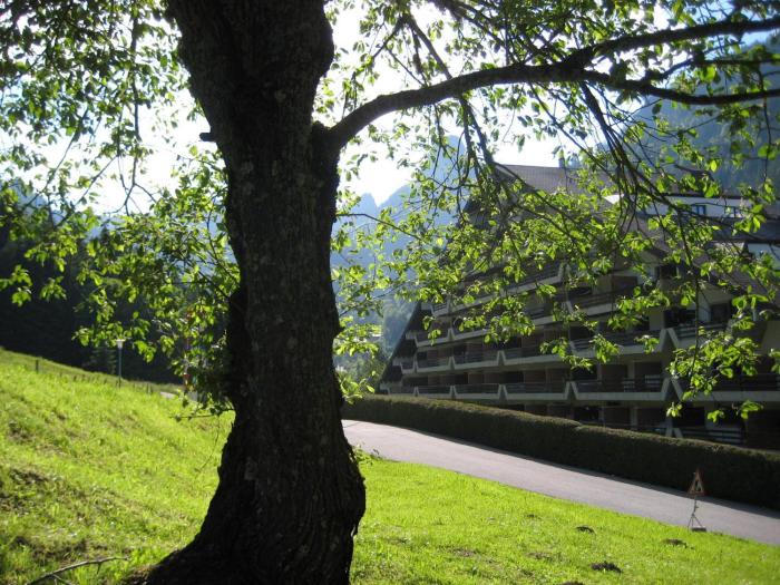 Appartement voor wandel of ski vakantie in Torgon Portes du Soleil