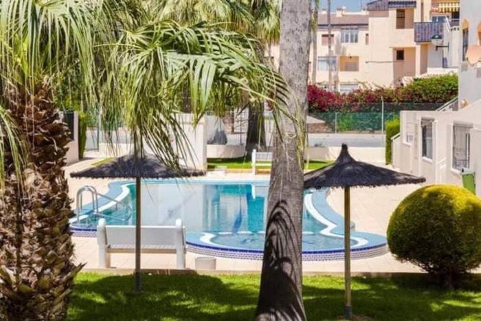 Apartment with pool TORREVISTA ROCIO