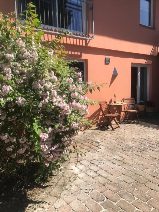 Moderne großzügige Souterrainwohnung Zarrentin Gallin Schaalsee Natur Wald Wasser