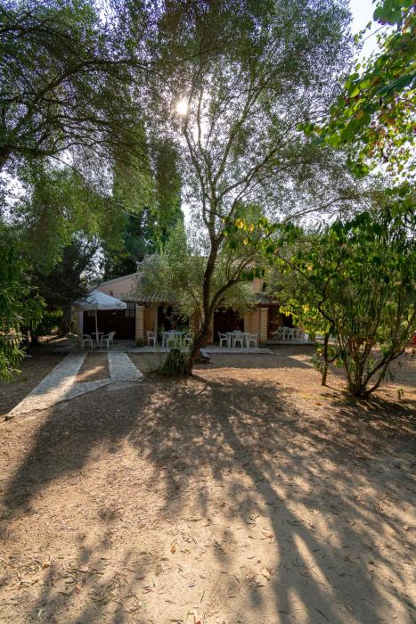 Villa Olive apartments