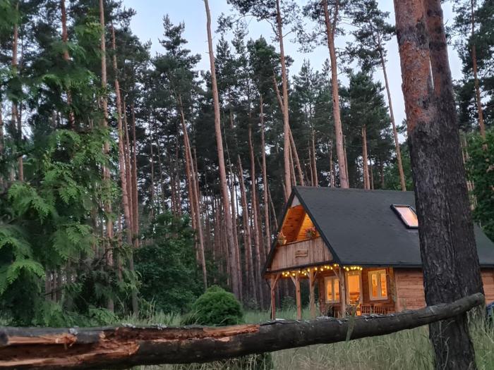 Pod Czarnym Dzięciołem - dom z widokiem i prywatną balią