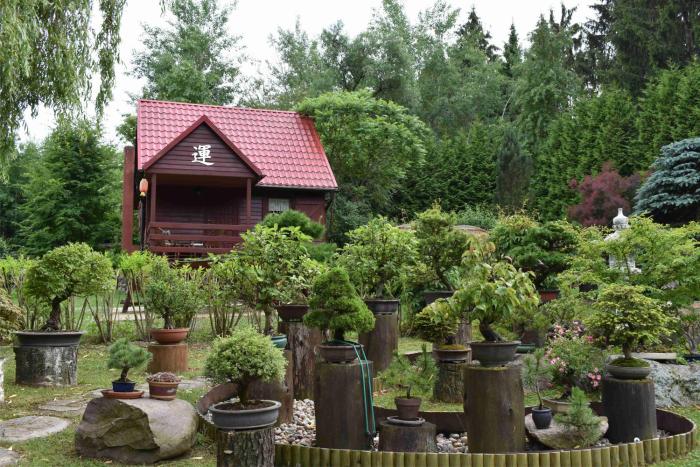 Ogród Shirin Yoku Odpoczynek w Lesie