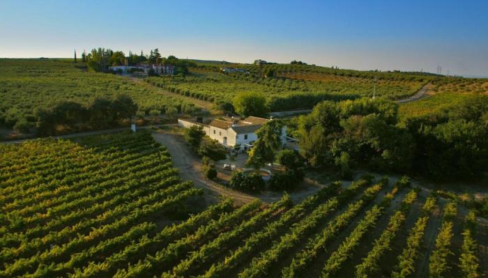 Elegant Villa in Montilla with Private Pool