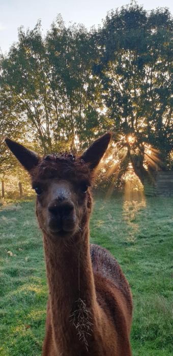 Aux murmures de la nature B&B