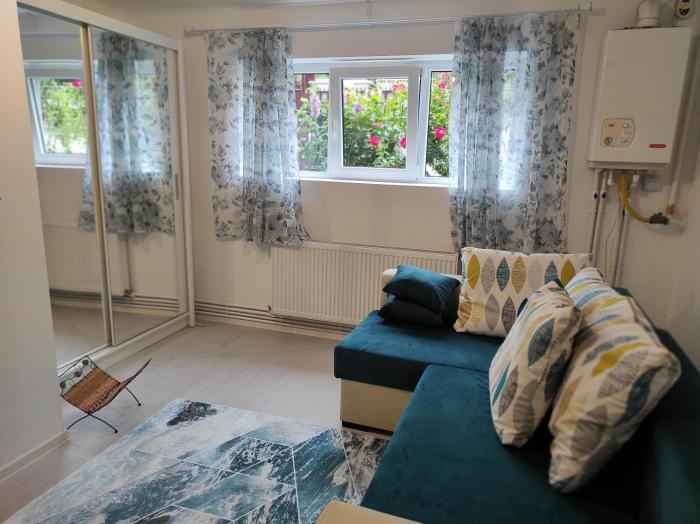 Garsoniera cocheta zona Coresi mall