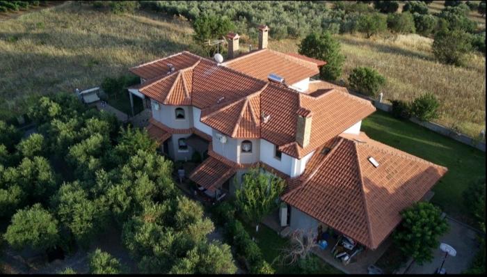 Alice Wonderland Home Nea Flogita Halkidiki