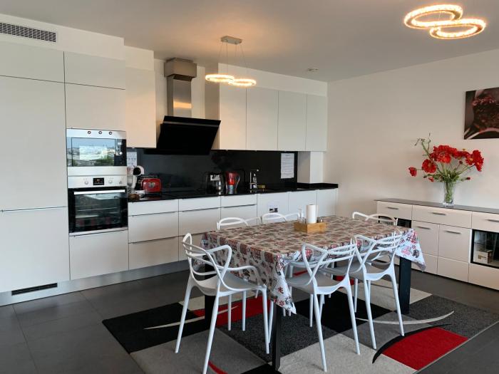 Spacious Luxury 2BR flat with Parking & Netflix - Luxembourg gare