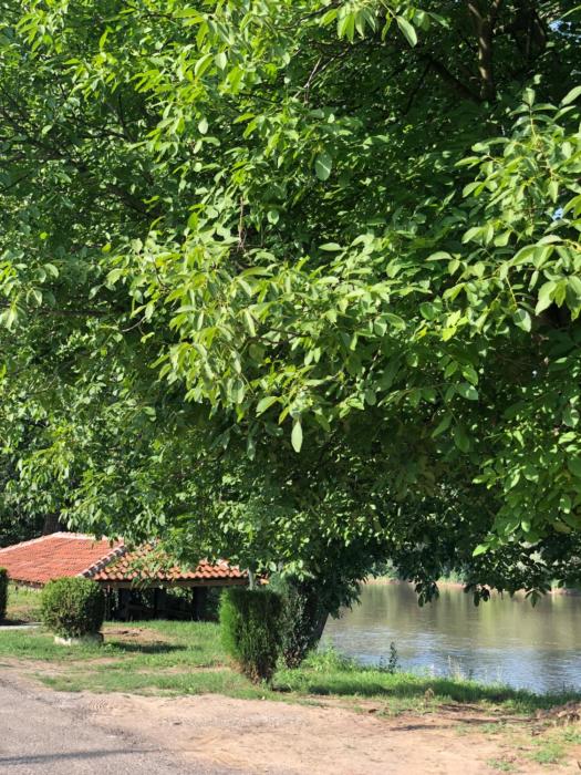 Apartmani Morava 54