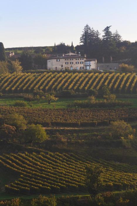 Ca del Moro Wine Retreat