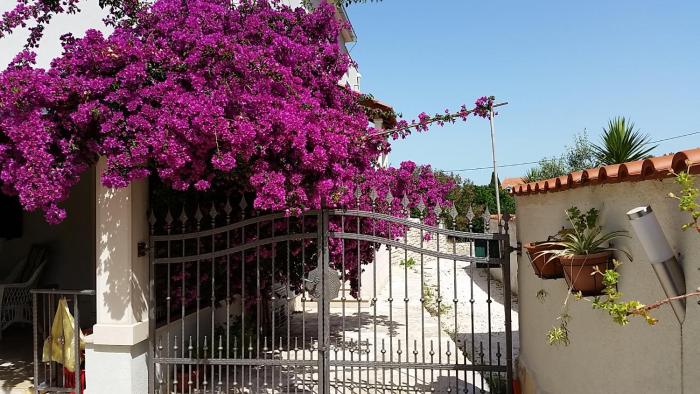 Villa with pool Split - Supetar Island Brac