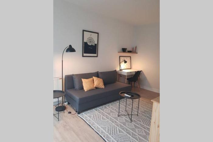 Apartment Bizzi city center