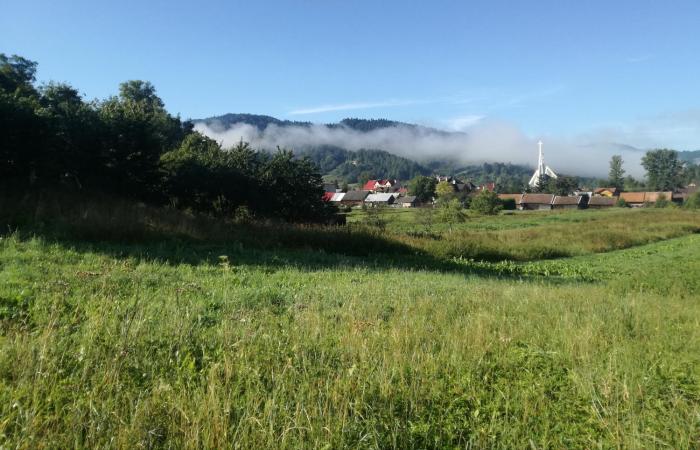 Wypoczynek Pod Trzynastką