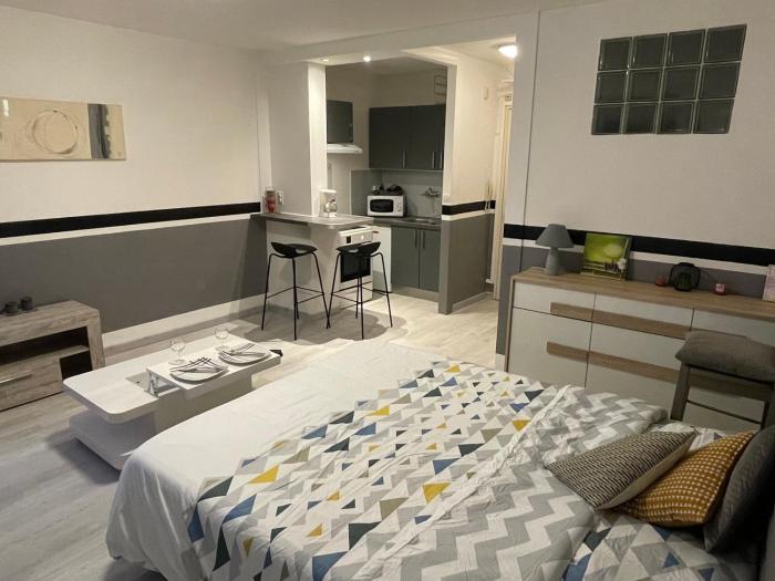 F1 avec Terrasse, 5 min de Colmar, vignoble et free parking