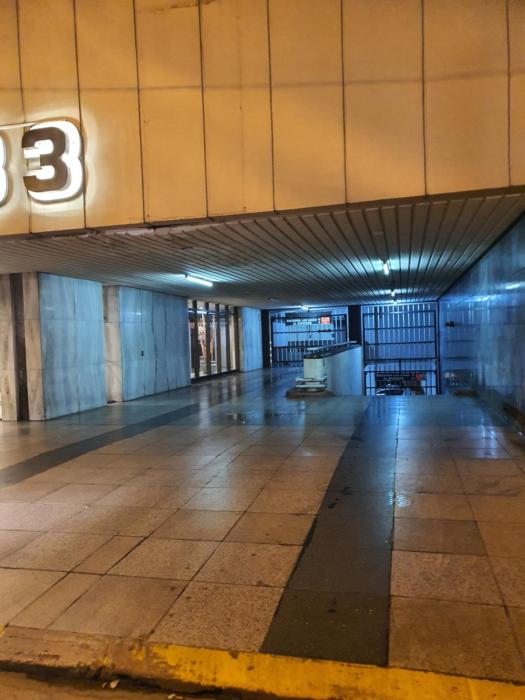 Mi Lugar en el Mundo