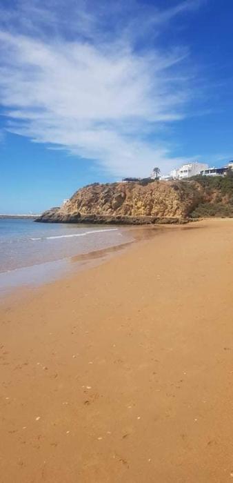 Terrace apartament on the Sea
