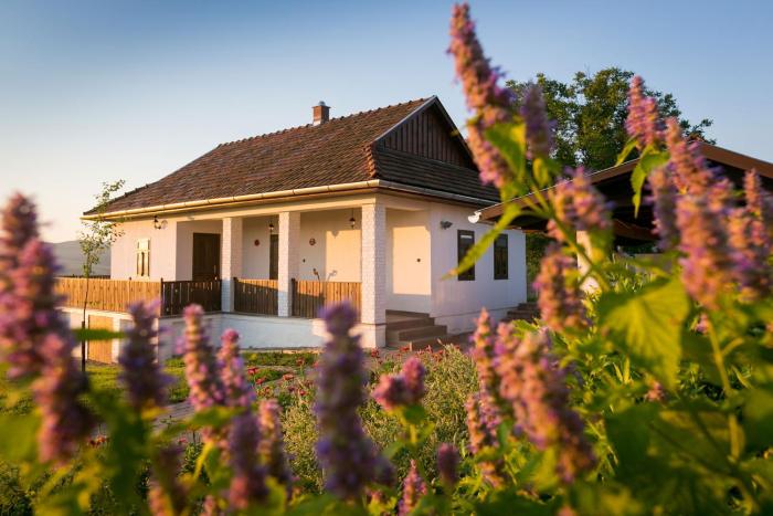 Csenger Vendégházak