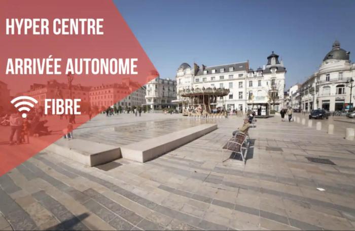 PRESTIGELOC - Studio Calme, 1er Emplacement - Place du Martroi, Idéal Pro