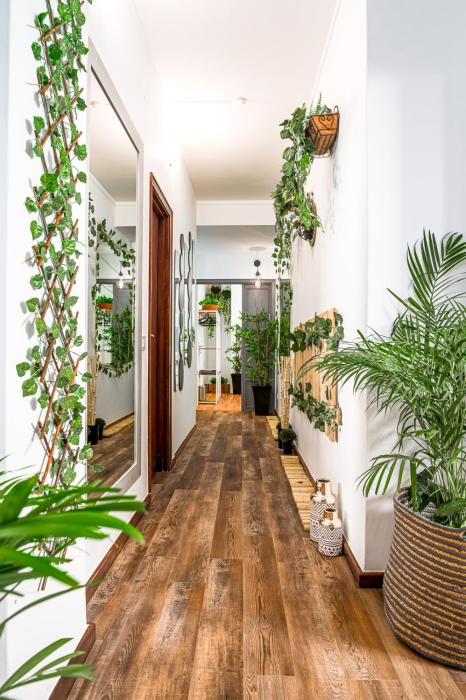 Avenue View Rooms - Guest House