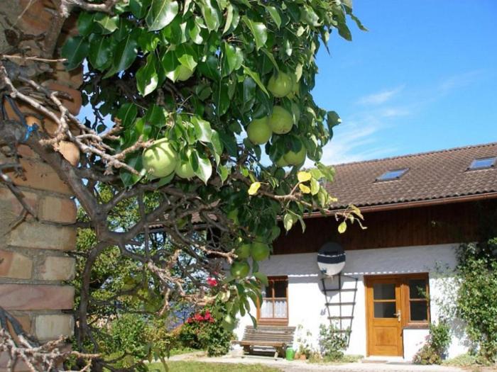 Gschwingerhof