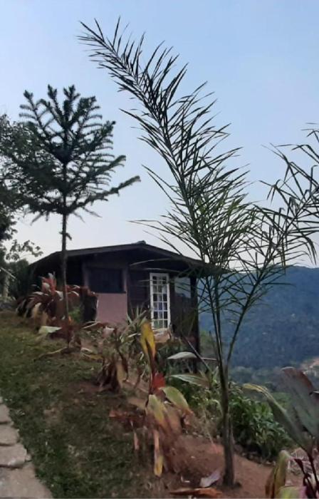 Chalé Pakere Bellavista - visão magnífica do vale e montanhas a mais de mil metros de altitude, wi-fi, sauna, piscina e água de nascente - locação do chalé sem prestação de serviços