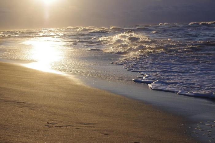 Vieno miegamojo apartamentai Juodkrantėje