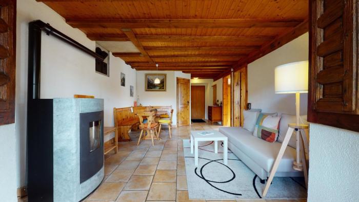 Les Hirondelles, cosy apartment with a magnificent view on the mountains