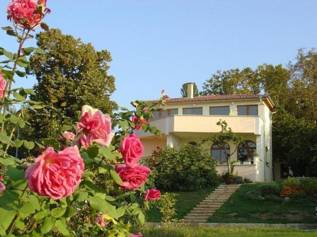 St.Nikola Holiday Home