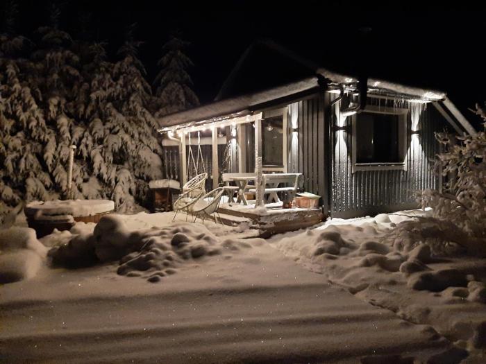 Gilė -Virš Ąžuolų - Forest SPA - Horses - Lake - Chalet