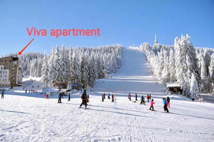 Viva apartment in hotel Stenata Pamporovo on the ski slopes