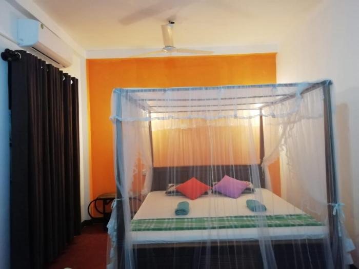 Jungle guest ,Mirissa