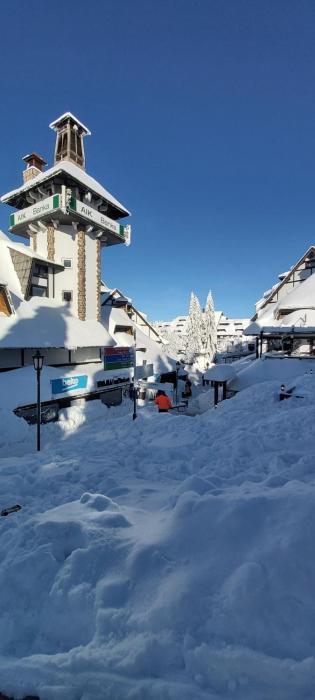 Apartman SREBRNA PAHULjA-Konaci