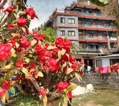 North Star Guest House