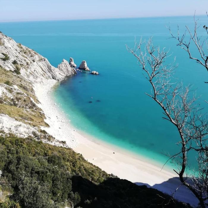 Tobacco Road camping Sirolo