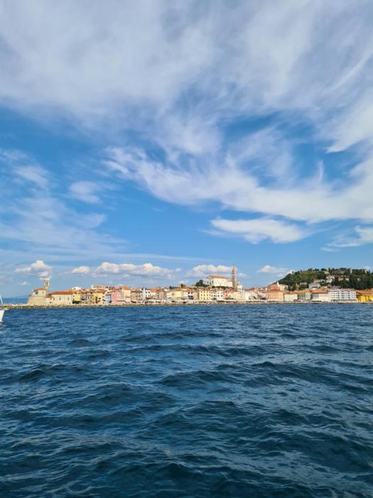 Apartmaji Mila Piran