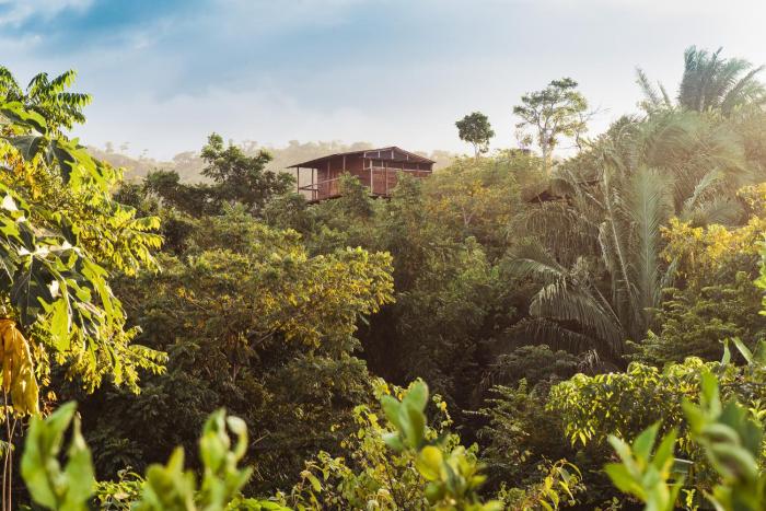 La Casita del Bosque
