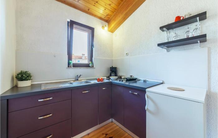 Beautiful Apartment In Kanfanar With Kitchen